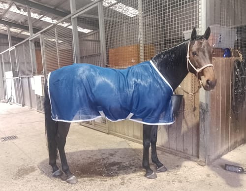 Customer photo review of Amigo Net Cooler