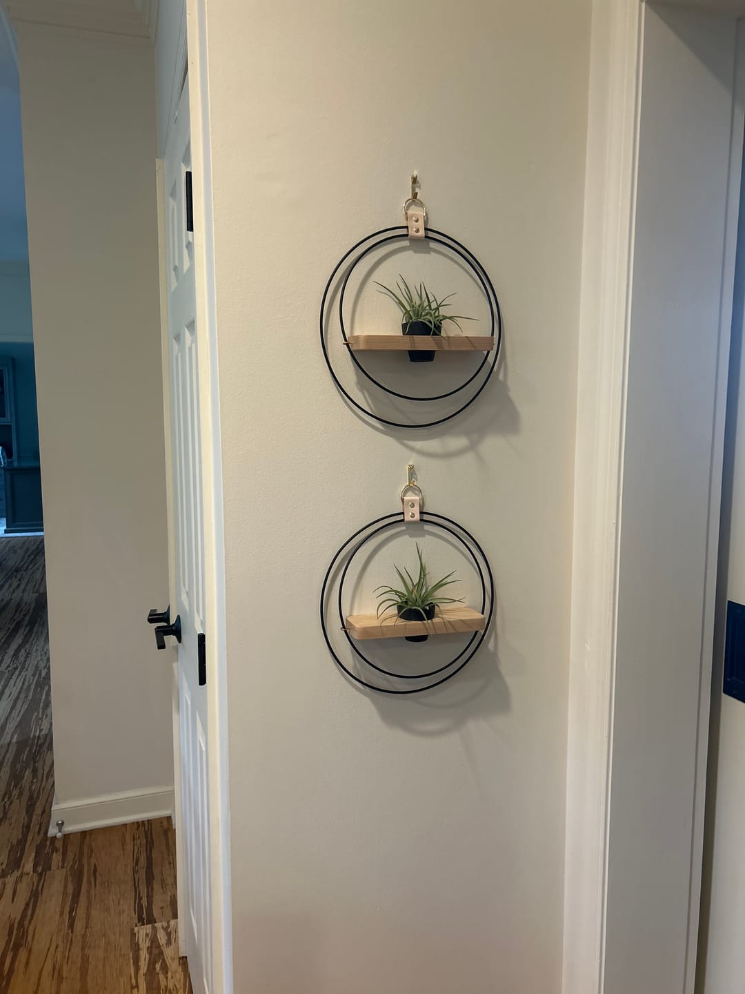 Customer photo review of Air Plant Shelf + Pot Duo