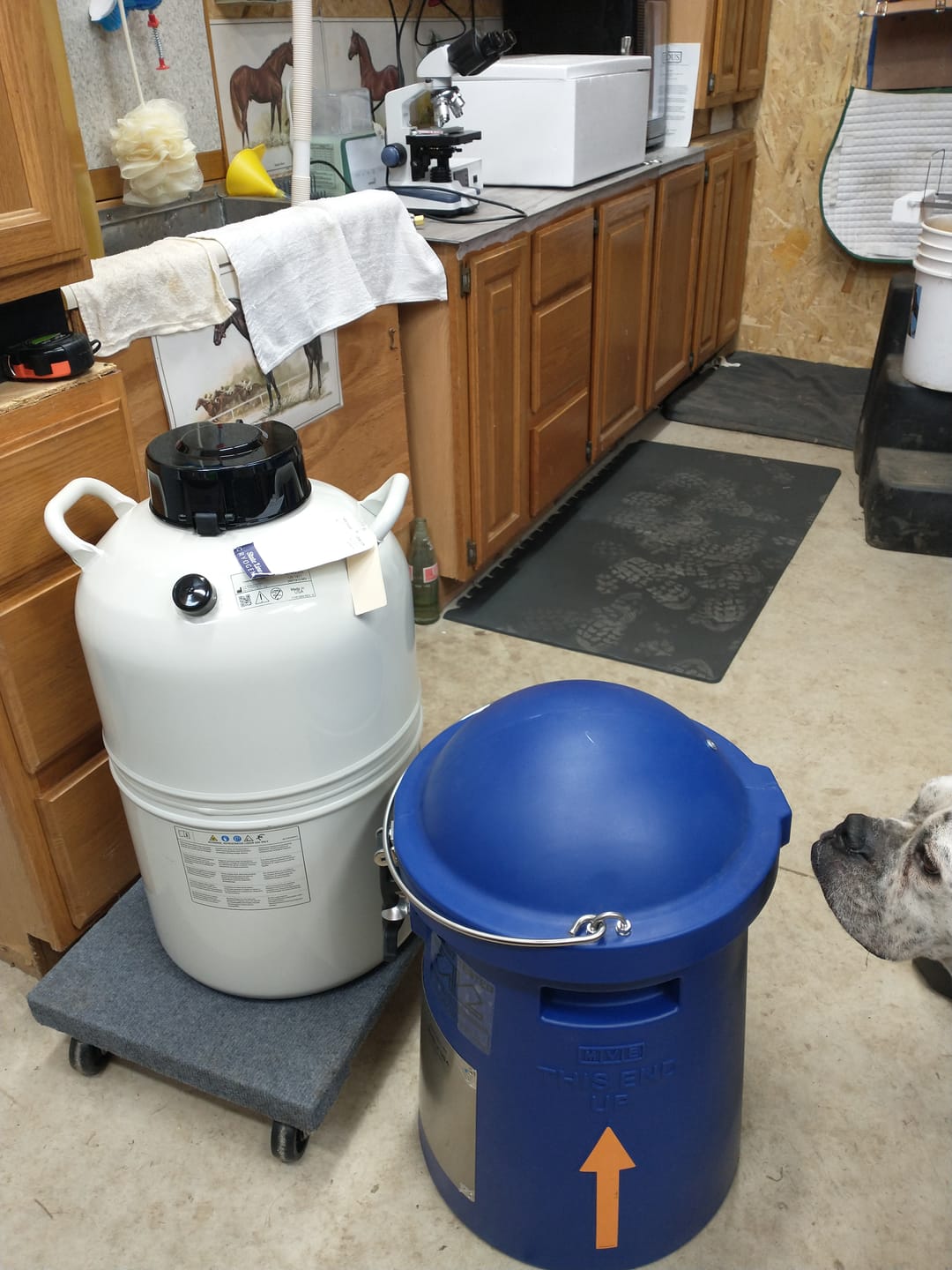 Customer photo review of MVE Next Generation SC 4/3 Vapor Shipper with Mushroom - 120 straws for 26 days