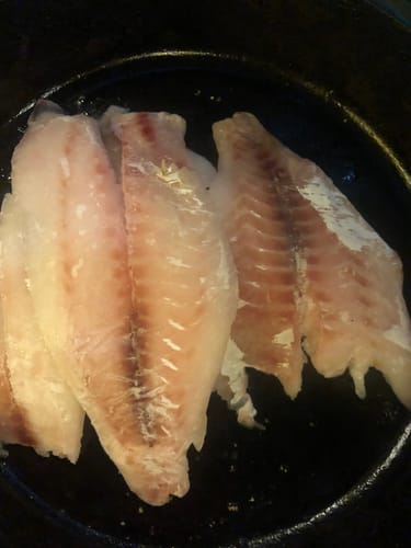 Customer photo review of 5KG Snapper Fillets (Skinned and Boned) Frozen