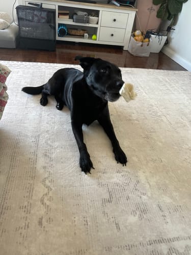 Customer photo review of The Mellow Mat v2® Designer Print | Sandstone Haze (Soft Touch Sensory Tatami Rug) PR02