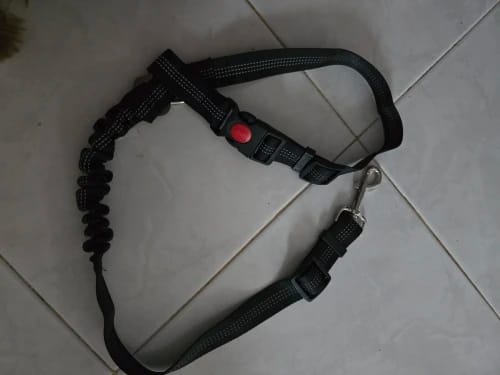 Customer photo review of DogSecure Auto-Sicherheitsgurt