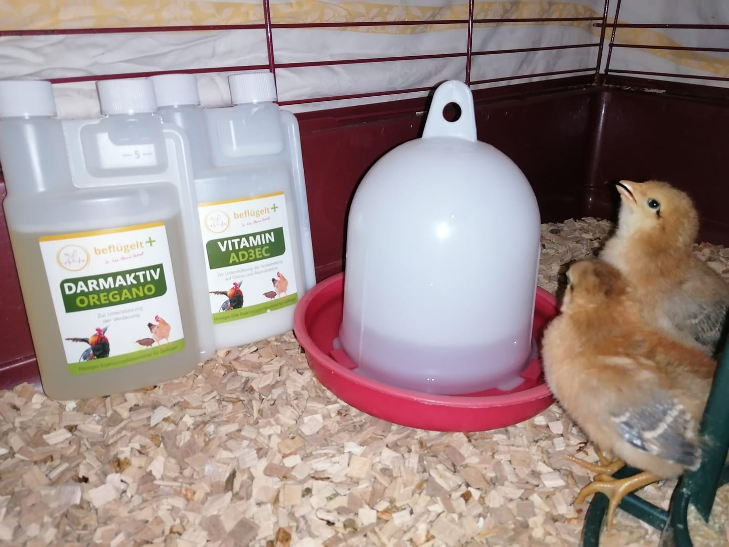 Customer photo review of Küken Start-Set - für vitale Küken und gleichmäßiges Wachstum