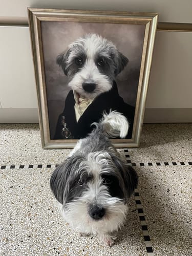Customer photo review of The Earl: Custom Pet Canvas