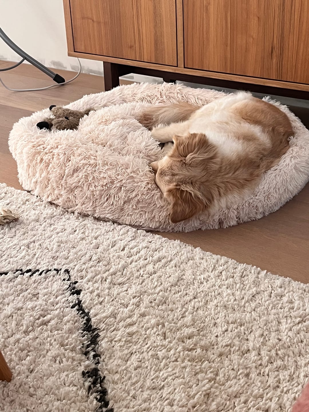 Customer photo review of Pet Perfect Donutmand