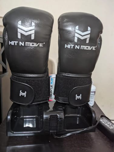 Customer photo review of The Glove Purifier with Thermal Heating and O3-Enabled Active Technology Built for Preserving Boxing Gloves