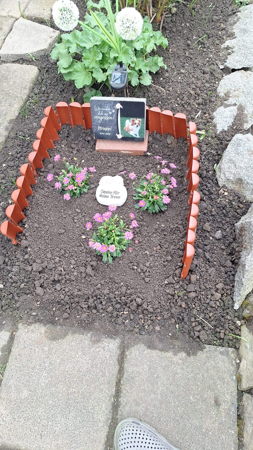 Customer photo review of Hunde Gedenktafel mit Foto & Spruch (UV- & Wetterfest)