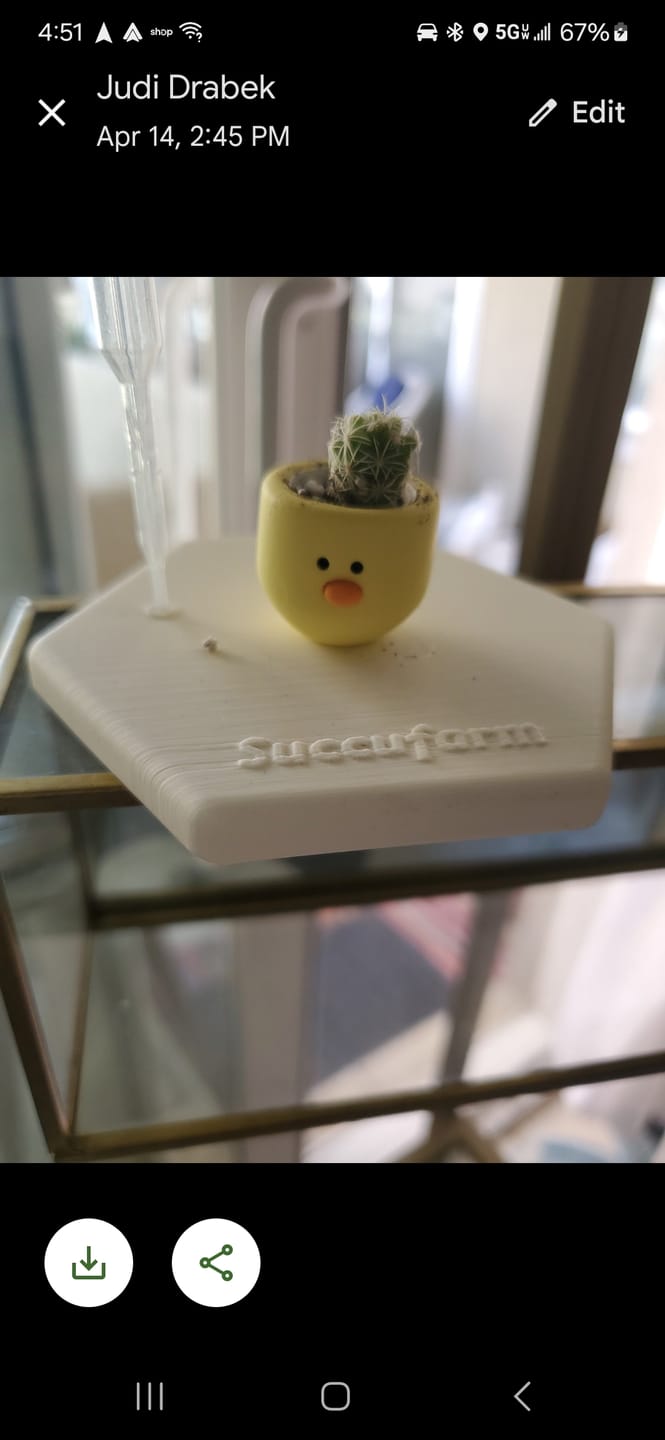 Customer photo review of Chick Magnet