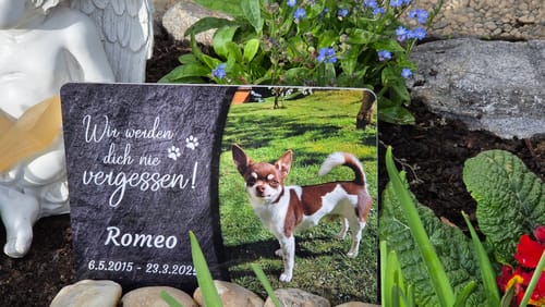Customer photo review of Hunde Gedenktafel mit Foto & Spruch (UV- &  Wetterfest)