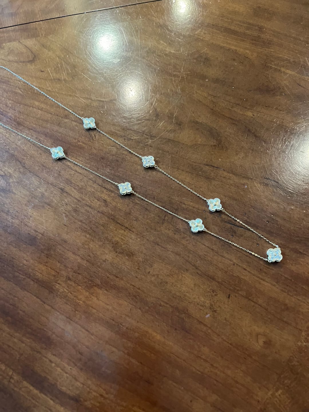 Customer photo review of DOREEN CLOVER STONED LONG NECKLACE (Gold)