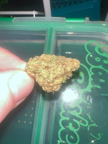 Customer photo review of Grape Jelly Donut THCA Flower