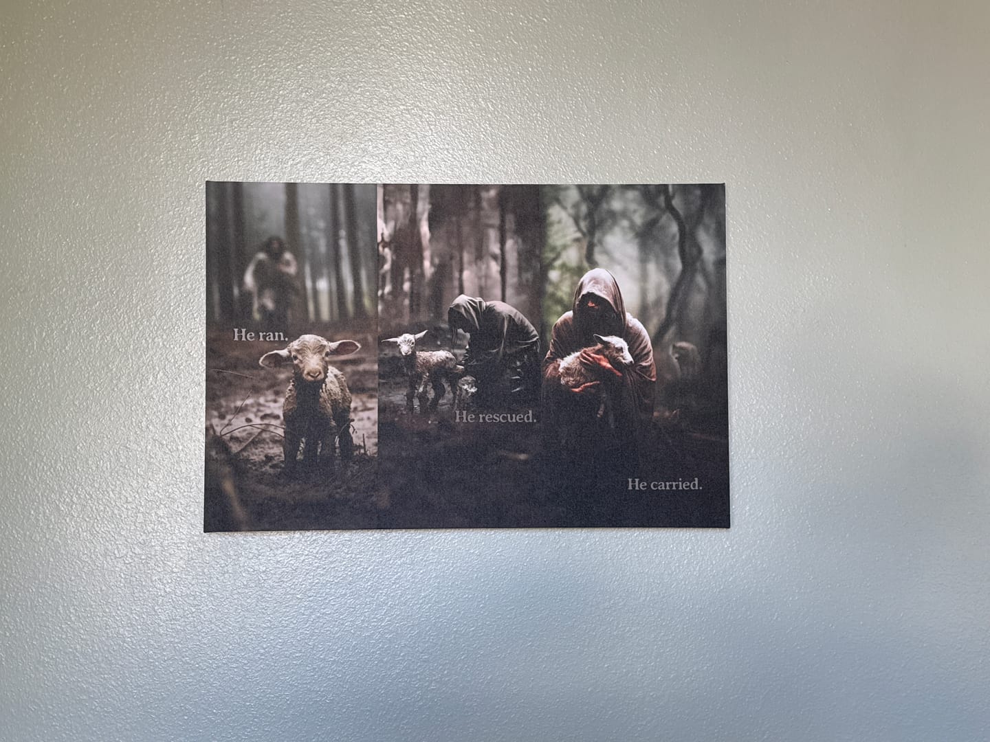 Customer photo review of He Ran, He Rescued, He Carried, Jesus and Lost Sheep, Wall Art Canvas