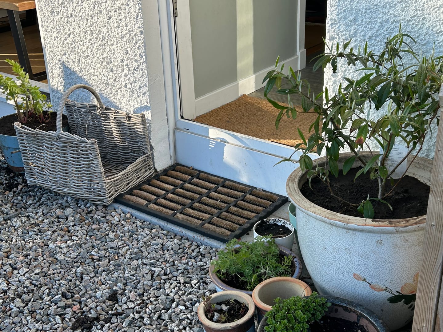 Customer photo review of Buy 4 bags of Compost and get a Pouch of Feed for FREE!