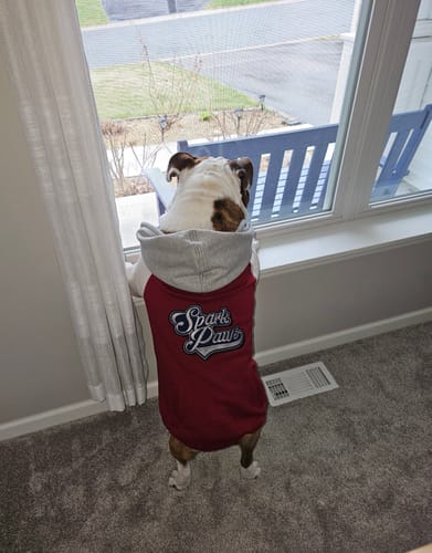 Customer photo review of Dog Varsity Jacket - Red