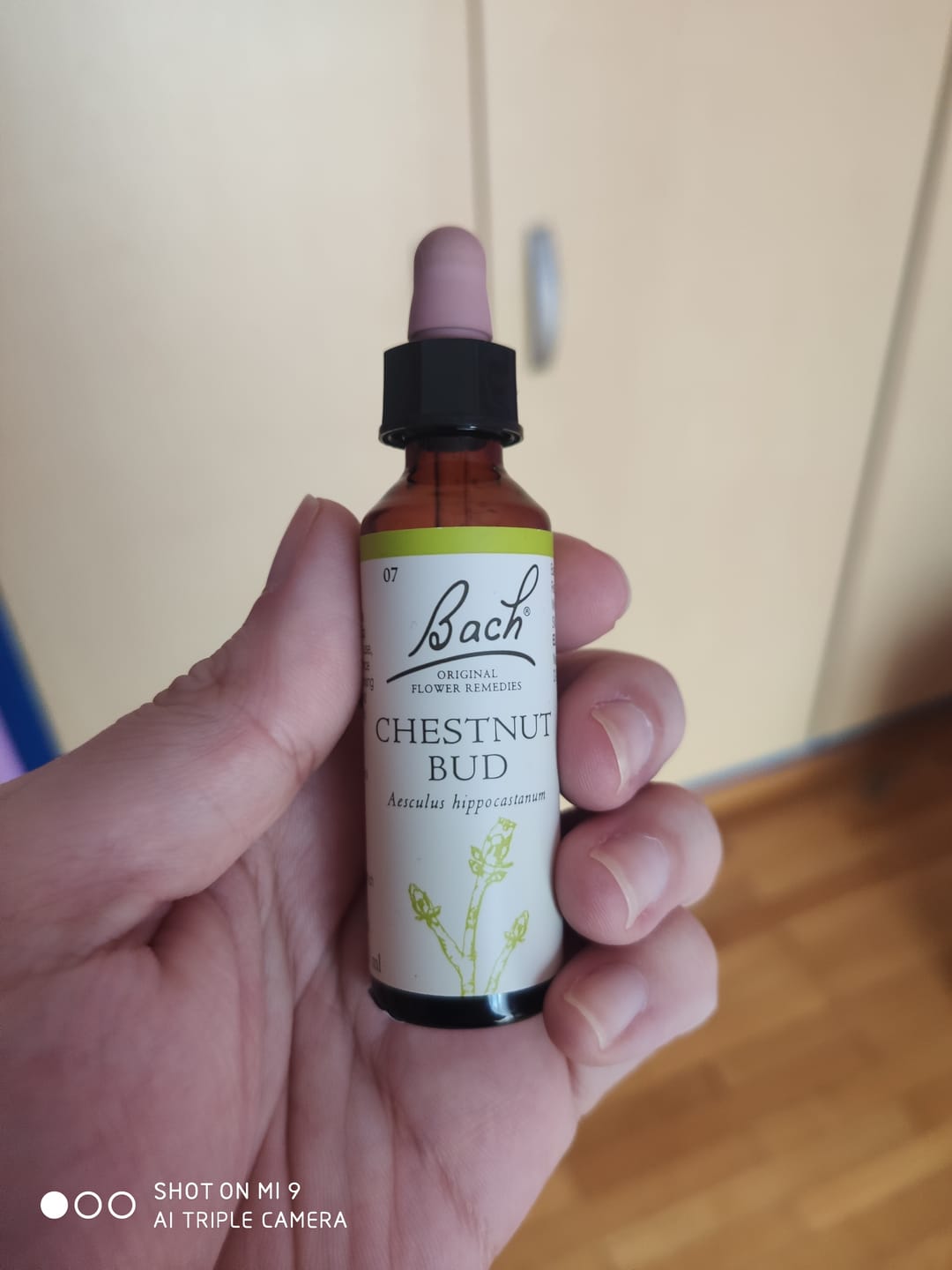 Customer photo review of Aνθοΐαμα Bach CHESTNUT BUD + Γεμμοθεραπεία για αδυναμία να μάθουμε από τα λάθη μας, Original Flower Remedies