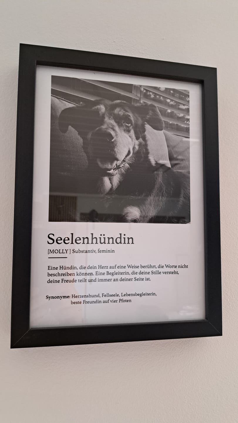 Customer photo review of Definition Seelentier - Individuelles Poster