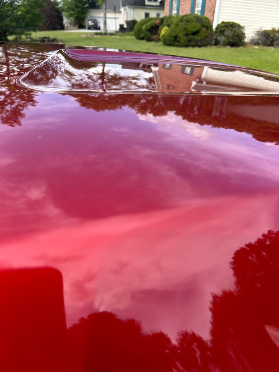 Customer photo review of BLACKLINE® ULTRA FOAM