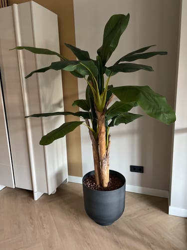 Customer photo review of Kunst Bananenplant 180cm