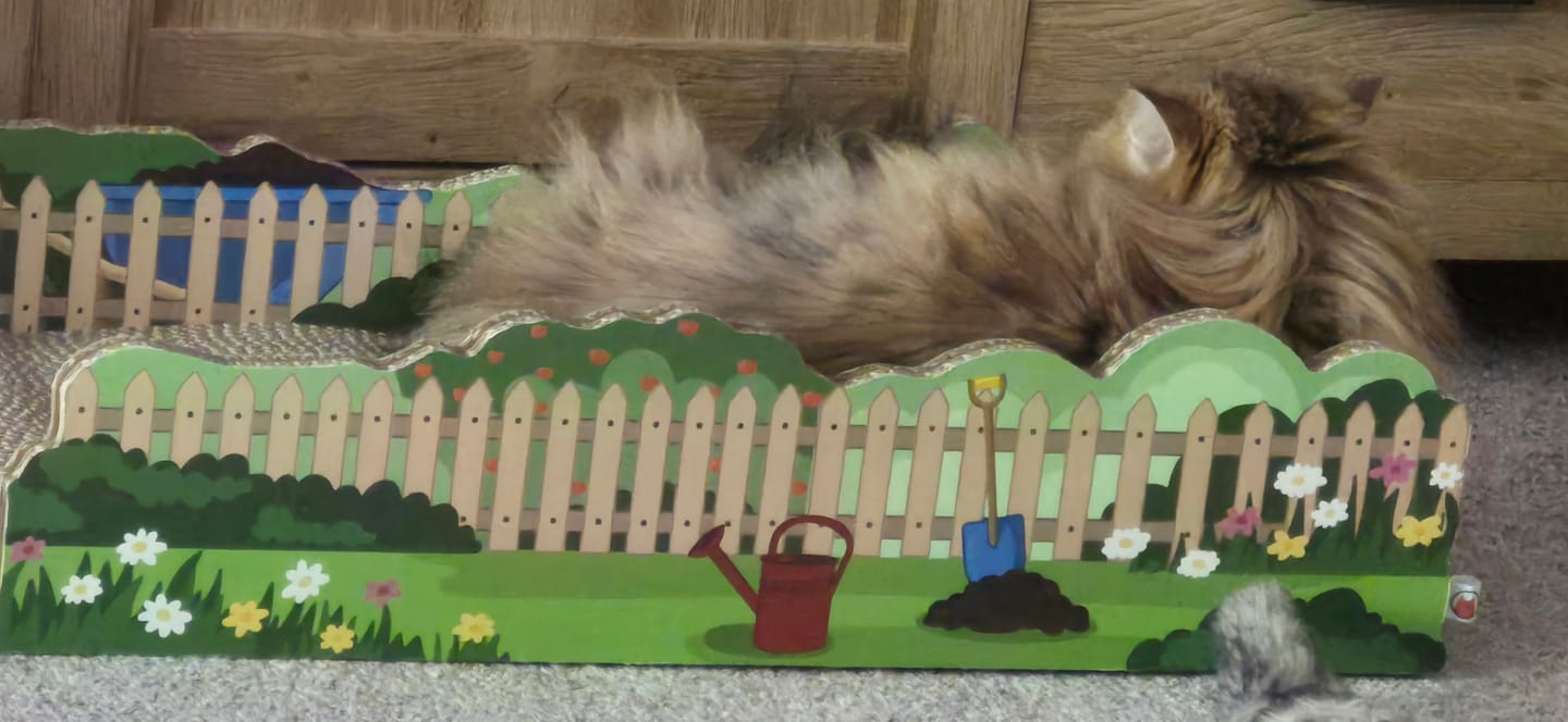 Customer photo review of KratzGarten