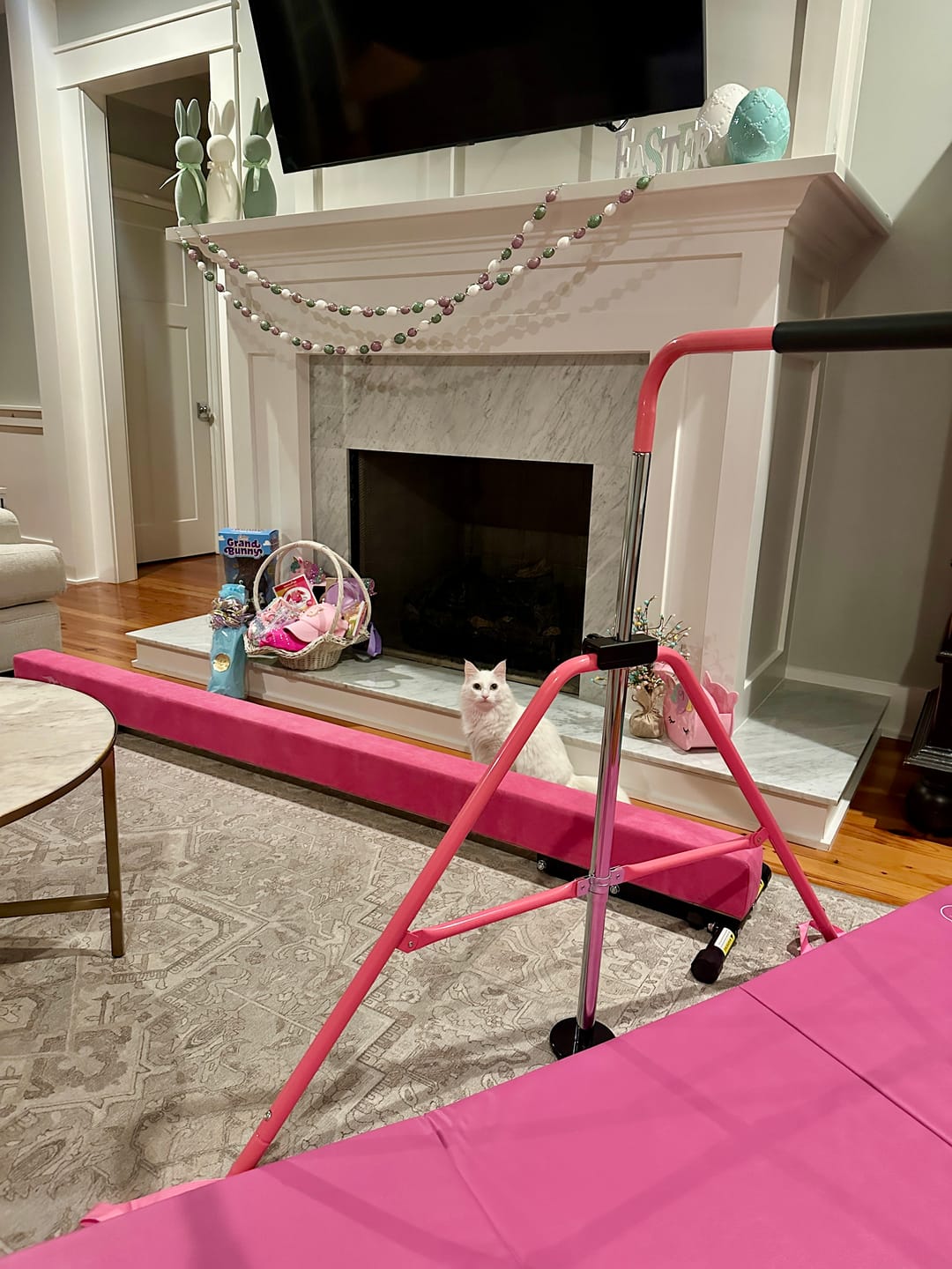 Customer photo review of Kangaroo Hoppers Kids’ Gymnastics kip bar bundle