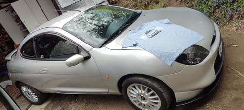 Customer photo review of PUMA