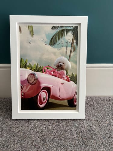 Customer photo review of The Toy Princess - Custom Pet Portrait