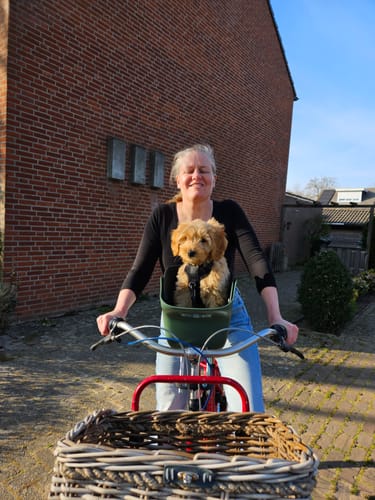 Customer photo review of Kvisp Dog Bike Carrier