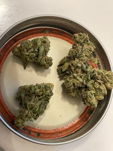 Customer photo review of Gary Payton THCA Flower