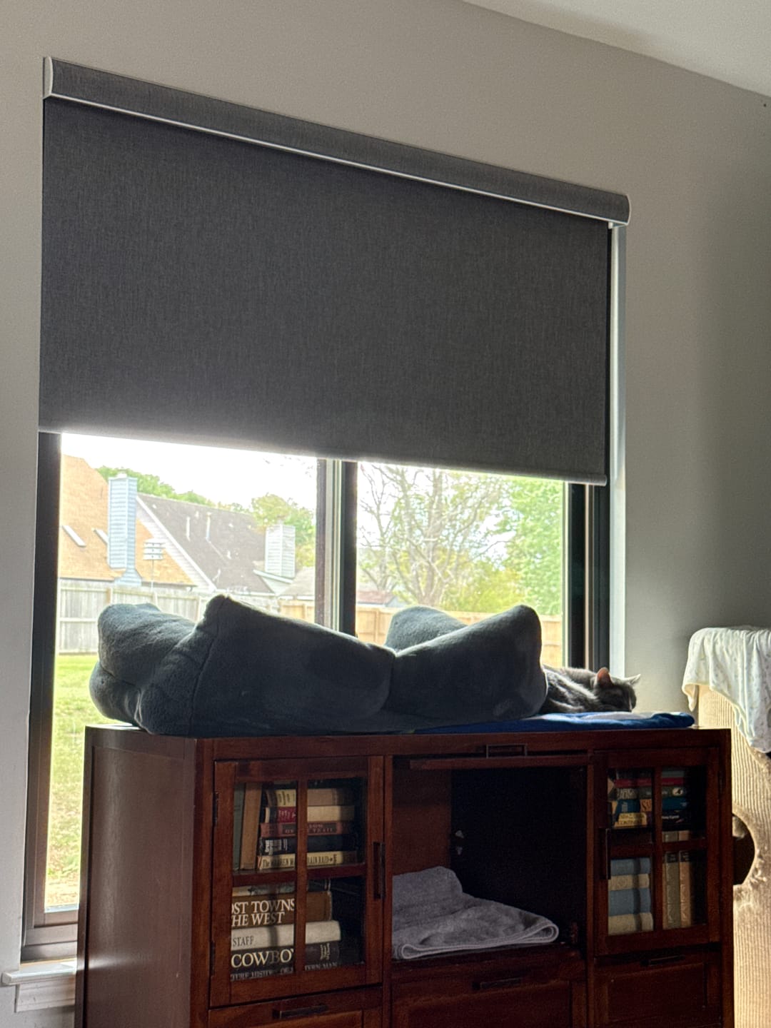 Customer photo review of SmartWings Motorized Roller Shades 100% Blackout Dual-Sided Bouvardia