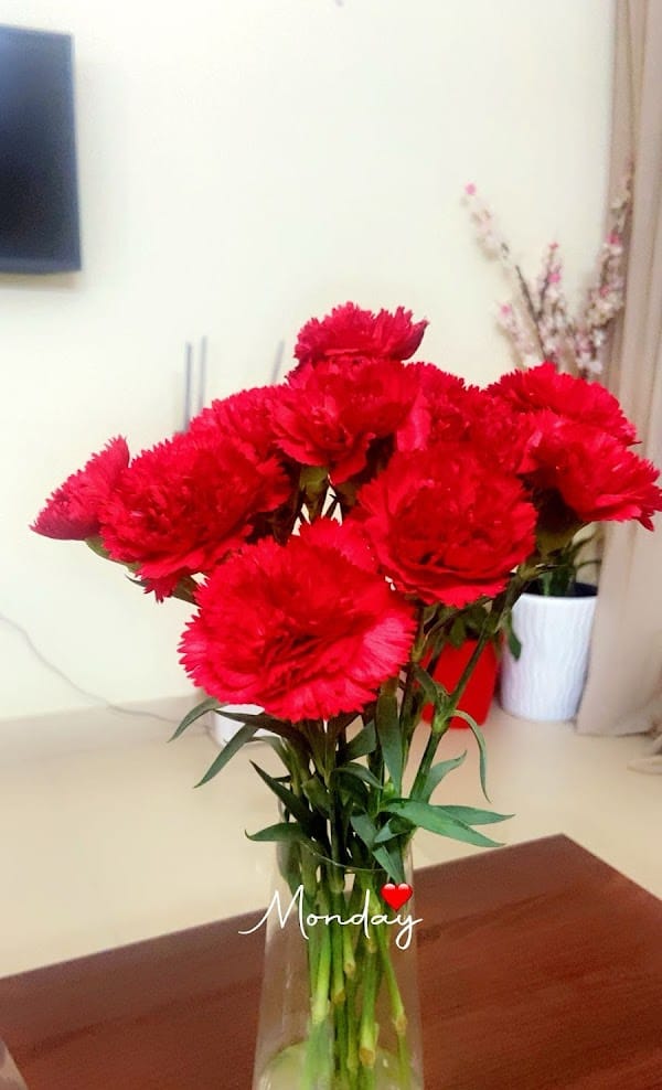 Customer photo review of Subscribe to Cut Flowers - Basic
