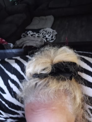 Customer photo review of Onyx Black Silk Scrunchie