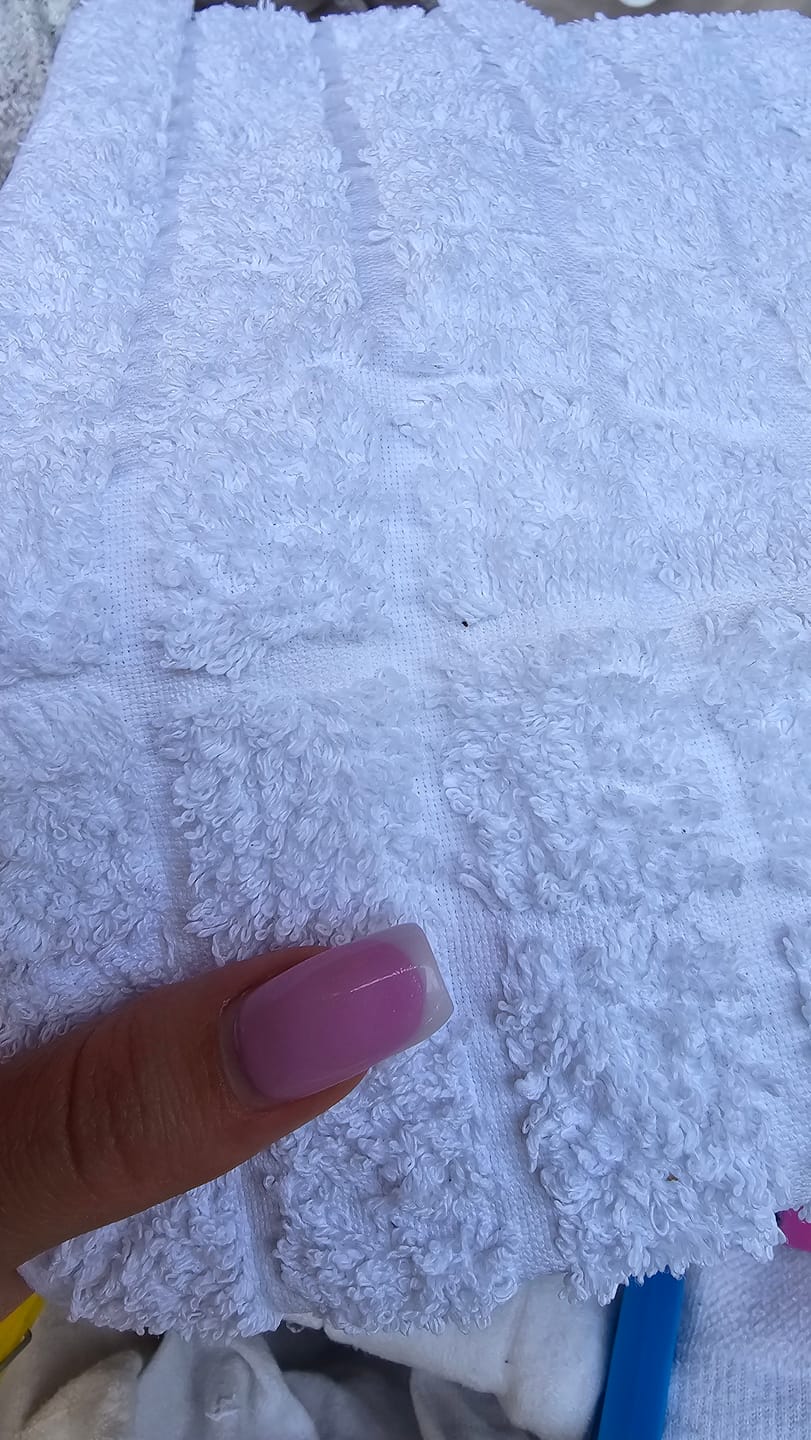 Customer photo review of מגבת MAYA
