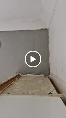 Vicki H. review of Genie Grease Be Gone image 1 out of 1