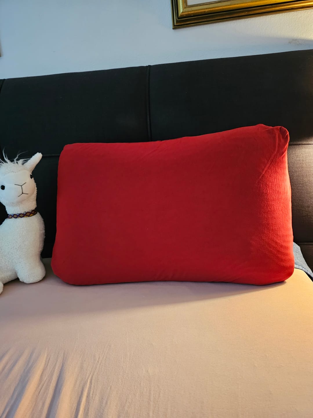 Customer photo review of Edda Lux Bezug passend für Tempur Arch & Tempur Symphony Schlafkissen, 63x43 cm