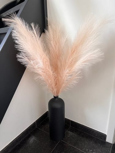 Customer photo review of Pampas 110cm (3 stengels)- Crème