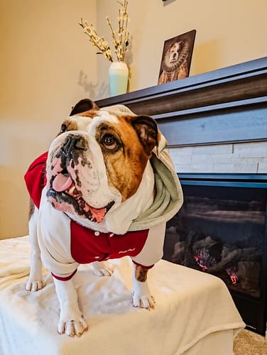 Customer photo review of Dog Varsity Jacket - Red