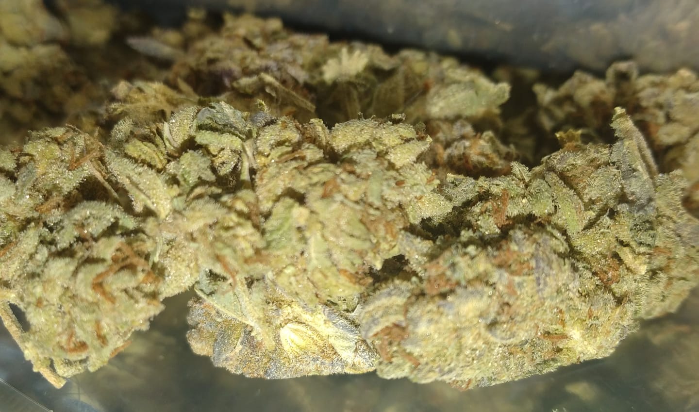 Customer photo review of Space Junkie