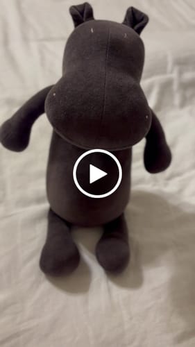 Customer video review of MOMO, L'HIPPO - XL