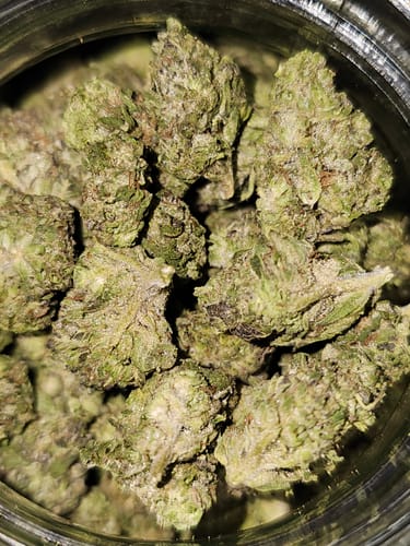 Customer photo review of Skywalker OG THCA Flower