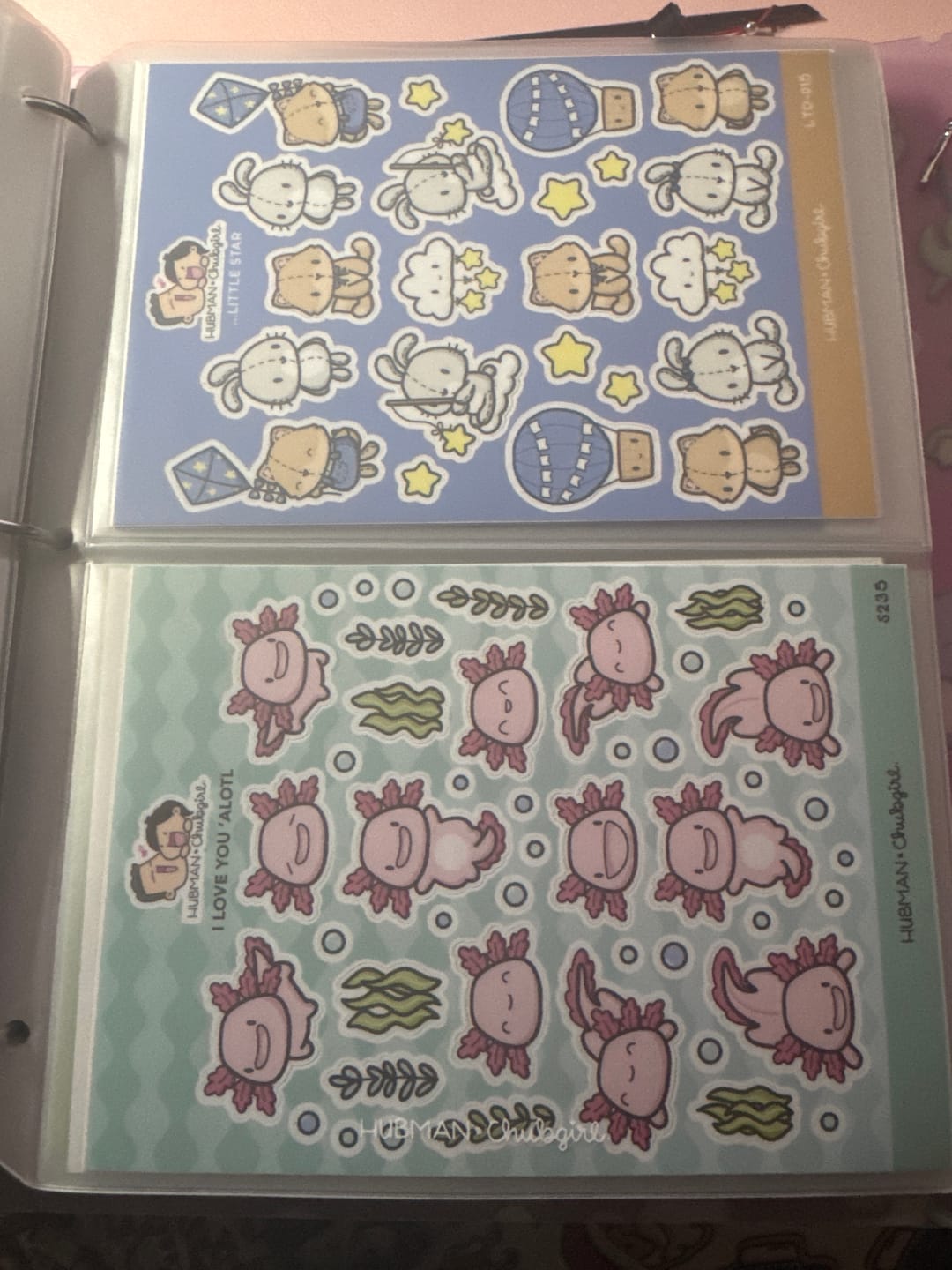 Customer photo review of Medium Storage Pockets