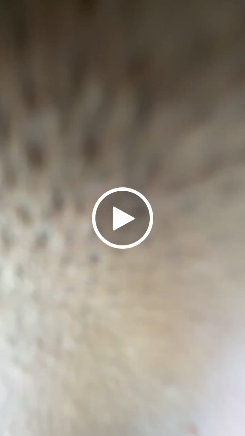 Customer video review of SF1 Tondeuse de coupe