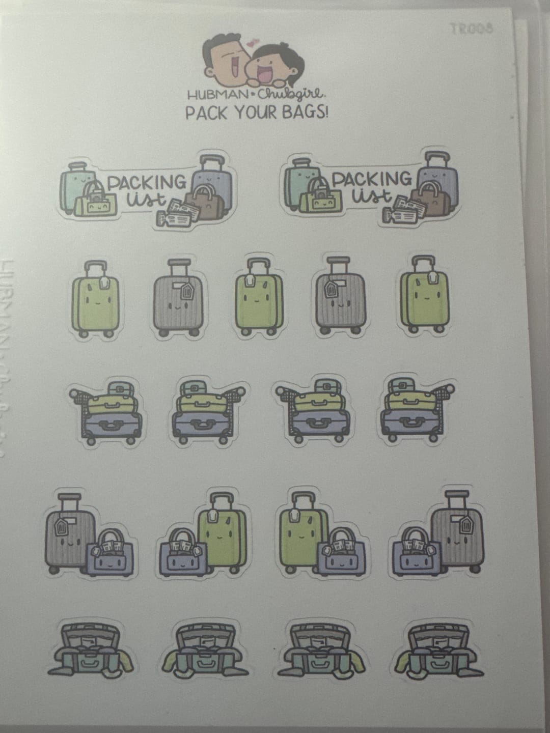 Customer photo review of Pack Your Bags Planner Stickers