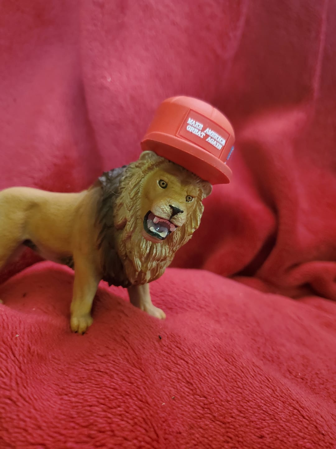 Customer photo review of MAGA Hat Keychain (Limited Edition)