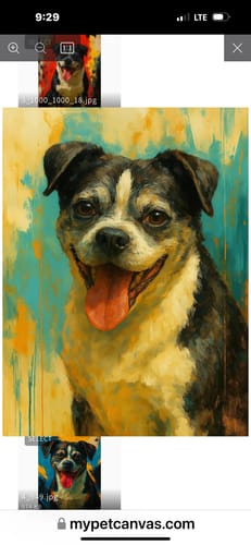 undefined review of Custom Pet Portrait - Abstract Style image 1 out of 2