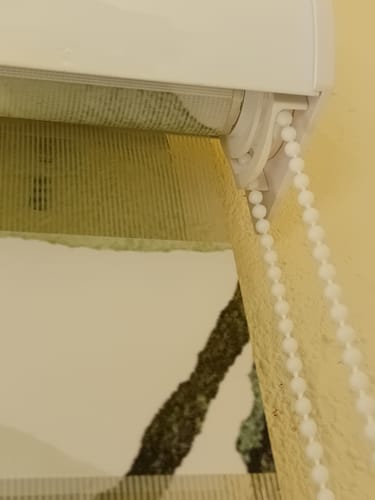 Customer photo review of Foto Doppelrollo "Grüne Blätter"