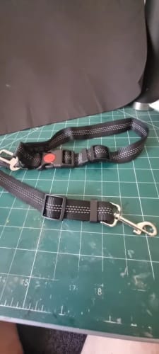 Customer photo review of DogSecure Auto-Sicherheitsgurt