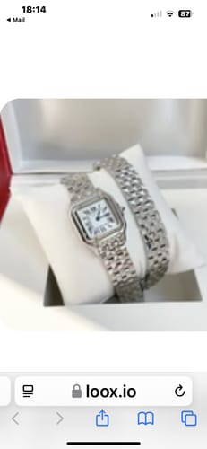 Customer photo review of Panthere 22mm Silver Double Chain 44cm