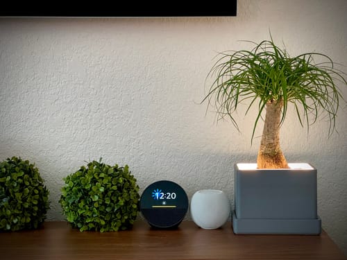 Customer photo review of Retro Table LED Planter - Concrete Jungle