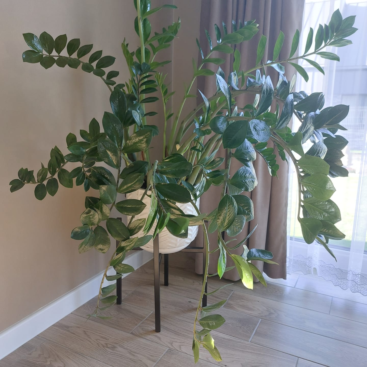 Customer photo review of Vazonų stovas GELA