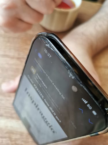 Customer photo review of Dante and Virgil | William-Adolphe Bouguereau | 1850